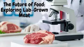 The Future of Food: Exploring Lab-Grown Meat