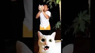 Have I wanna achieve today goals #dance #music #cat #funny #funnymemes #mybest #reactionshorts #fyp
