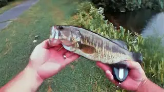 LAKE FISHING FOR SUMMER BASS (Chatterbaits & Buzzbaits) Vibrating Jig