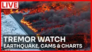 🔴 Iceland Seismic Watch: &THORN;orbj&ouml;rn / Grindav&iacute;k (Reykjanes) | Live Cam + Quake Alerts