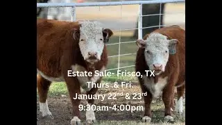 Tour of Frisco Estate Sale- Jan 22nd-23rd