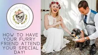 Intimate dog friendly wedding -Trenderway Farm