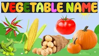 Learn Vegetable name with Tick Cartoon - Choose from Potato, Tomato, Eggplant, Capsicum!