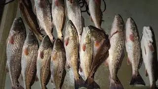 Key tips for winter time marsh fishing!
