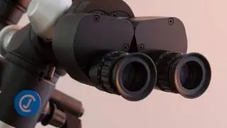 Microscopio Flexion de CJ-Optik