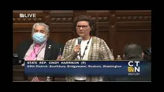 Rep. Cindy Harrison supports amendment to HJR58 to require photo identification in order to vote.