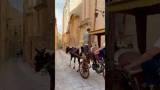 The old fortress streets from Malta are a good place for a horse carriage ride... #travel #malta
