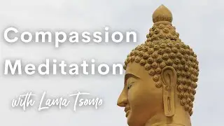 Tonglen Meditation for Compassion with Lama Tsomo