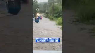 Selfless couple drive through flood to rescue trapped dog and man from sinking car