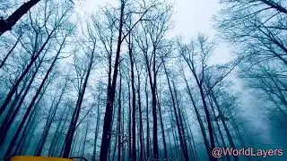 5 minutes relaxing music,5 minutes Sleep