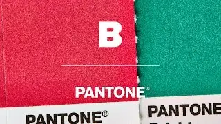 Magazine B 46th Issue: PANTONE