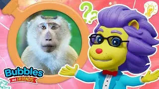 🐵 Monkey Facts for Kids | Learn with Lionstein | Bubbles and Friends