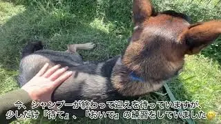 [嘘はやめよう]営業電話はお断り