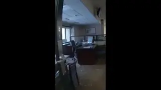 Police wrangle deer after chaos in New York bank