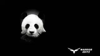 DESIGNER PANDA whatsapp status...
