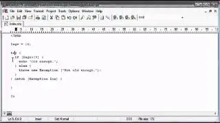 Beginner PHP Tutorial   186   try, throw, catch