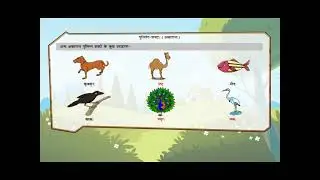 Shabd pariche ( Sangya ) Sanskrit Class - 6 Ryan International School CBSE board
