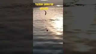 Yazdan kalma bir g&uuml;zellik. #tekkisilikozgurluk  #amateurfishing #lrfturkey #lrf #kayakfishingturke