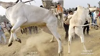 अजीम पटेल बिहिरीया बादशाह ने मचाया तहलका मलारा पट मे स्टार्टिंग पांइट विडियो 