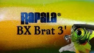 8k Plug Porn:  New Rapala BX Brat!   A beautiful bait that catches like crazy!