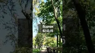#псалом92:12-15 #psalm92 #missions #gospel #roadtrip #ukraine #псалом #kiyv #київ