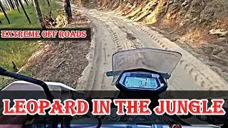 LEOPARD IN THE JUNGLE 🐆?| Extreme Off Roading🤯 | Episode 2 | Saskhet, Uttarakhand
