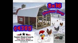 ❄️ Snow or shine… the chickens are just fine 🐔