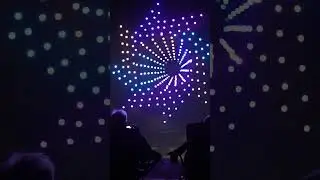 Firefly Drone Shows!  #shorts #droneshow #dronevideo