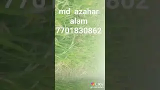 Md azahar alam