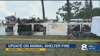 Fire at cat rescue kills multiple animals trapped inside