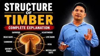 Structure of Timber in Detail &ndash; Pith,Heartwood, Sapwood,Annual Rings | Civil Engineering | Akash Sir