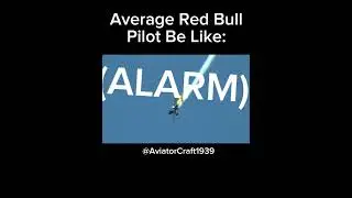 Average Red Bull Pilot Be Like: 🗿 #aviation #aviationlovers #avgeek #pilot #funny