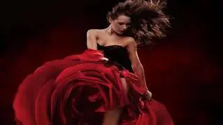 Maria Padilha - Sou A Dona Da Rosa (Com Letra)