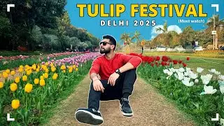 I Visited The Beautiful Tulip Festival Of Delhi 2025  🌷 | Everything You Need To Know | Full tour