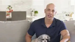 Pet Urine Odor Removal Service by Chem-Dry Northeast
