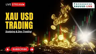 XAUUSD LIVE TRADING | 04 JUNE 2024 | GOLD LIVE TRADING | FOREXVERSE