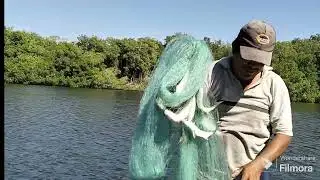 Pesca con atarraya y territorio de cocodrilos en Pijijiapan Chiapas