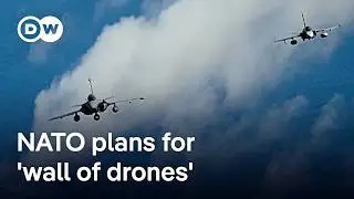 NATO records increasing number of Russian incursions into its airspace | DW News