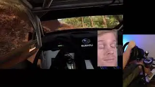 Phil never flinches... #dirtrally2 #codriver #simrally #simracing