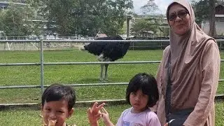 JOM JALAN² SANTAI DI UUM..TENGOK RUSA,BURUNG UNTA DAN KEINDAHAN SUASANA YANG NYAMAN...