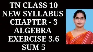 10th maths Ch-3 Algebra| Exercise-3.6 (5th sum)| Samacheer One plus One channel