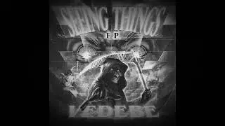 Vedebe - Seeing Things EP