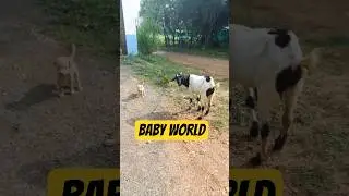 we with our pet family😍