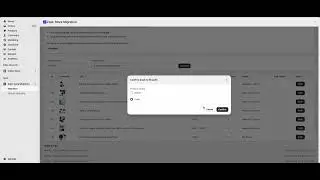 Zopi Store Migration app demo functions