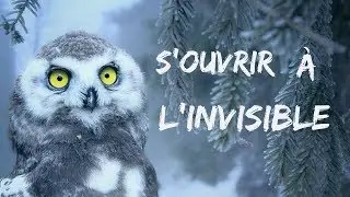 De quelle manière les esprits de la nature peuvent-ils nous ouvrir à leur monde ?