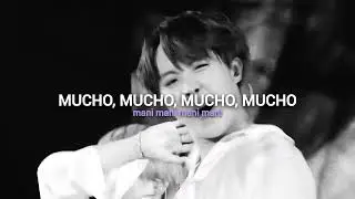 BLOOD SWEAT AND TEARS BY BTS letra en espa&ntilde;ol + lyrics 