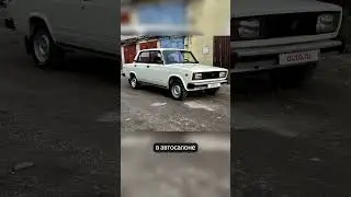 Как вам цена?