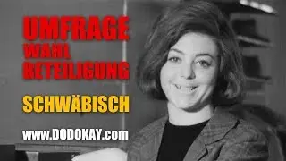dodokay - Umfrage zur Wahlbeteiligung - Die Welt auf Schw&auml;bisch