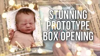 Super Exciting! Prototype Box Opening! I'm so in love!!!