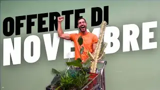 7 Piante Stupende in Offerta a Novembre da Sassi Garden 😍